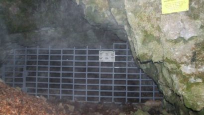 Urmele plantare din peștera Ciur – Izbuc, cele mai vechi din Europa