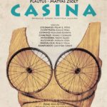 Spectacol Casina Teatru in aer liber 140807 TM