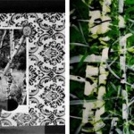 "VIS-(L)A-VIS" - un nou vernisaj al proiectului DIPLOMATIC ART, la Galeria Jecza