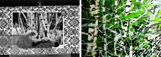 "VIS-(L)A-VIS" - un nou vernisaj al proiectului DIPLOMATIC ART, la Galeria Jecza