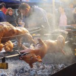 Festivalul Vinului de la Timişoara, pentru prima dată în Parcul Rozelor