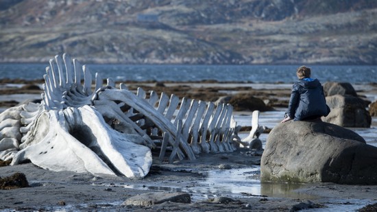 Filmul rusesc "Leviathan", premiat la Cannes anul trecut, va fi proiectat la Timişoara