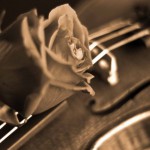Festivalul Naţional de Romanţe "Roze pe Bega", la Timişoara, cu Costel Busuioc, câştigătorul de anul trecut, în recital