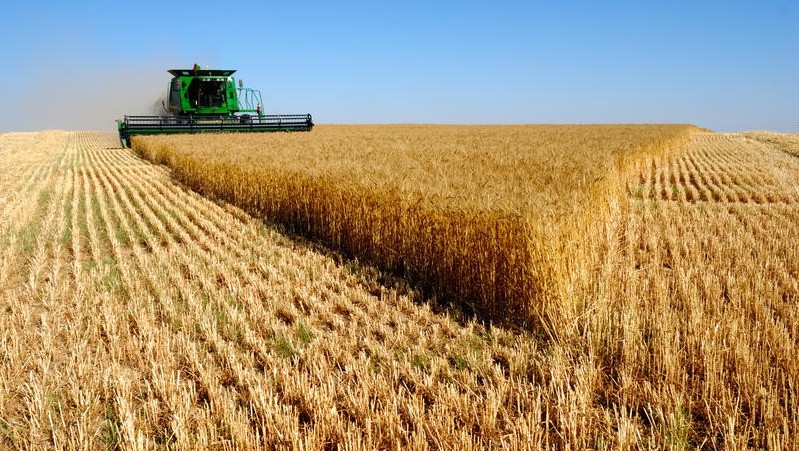 AGROMALIM, cel mai mare târg de profil din vestul ţării, la Arad