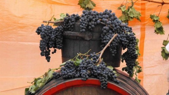 Sărbătoarea Vinului în Podgoria Miniş-Măderat
