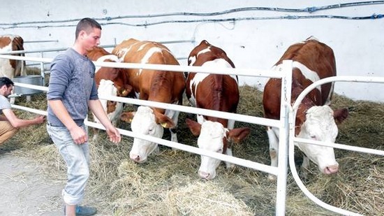Târgul Banat Agralim își deschide porțile la Timișoara