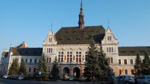 Consiliul Județean Hunedoara a votat bugetul. Liderul CJ: “Este un buget al sărăciei”