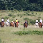 "Cupa "Il Cavallino" la Băile Felix