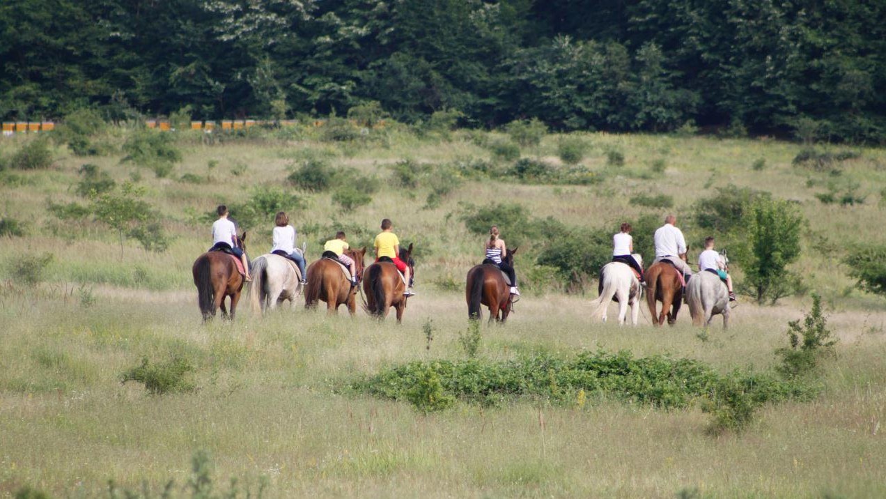 "Cupa "Il Cavallino" la Băile Felix
