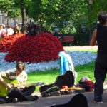 "StrArad Street Festival" în Parcul Mihai Eminescu