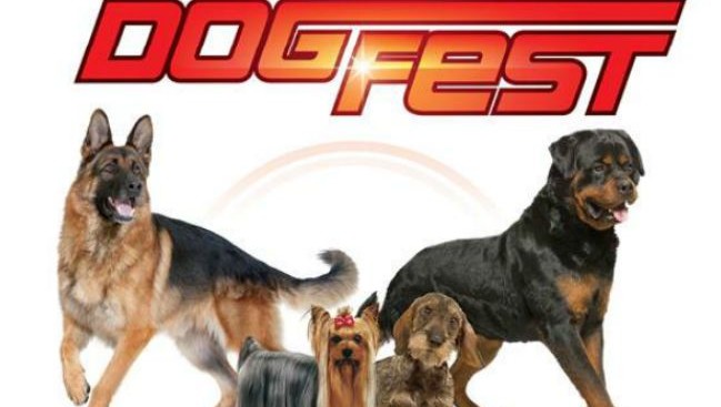 "Dog Fest" - Evenimentul Patrupezilor, la Hornbach