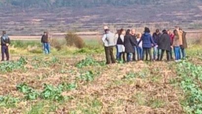 Parașutist mort după ce a căzut de la 3.000 de metri