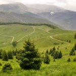 Documentarul "Sălbăticia din Carpați, bogăție pentru oameni", prezentat la Ambasada