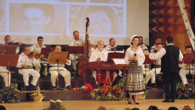 Invitaţii Festivalului “Mariana Drăghicescu”-2017, la Timişoara şi Bogâltin