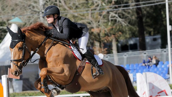 Cea mai mare compeție ecvestră din România, Herneacova International Jumping, în județul Timiș