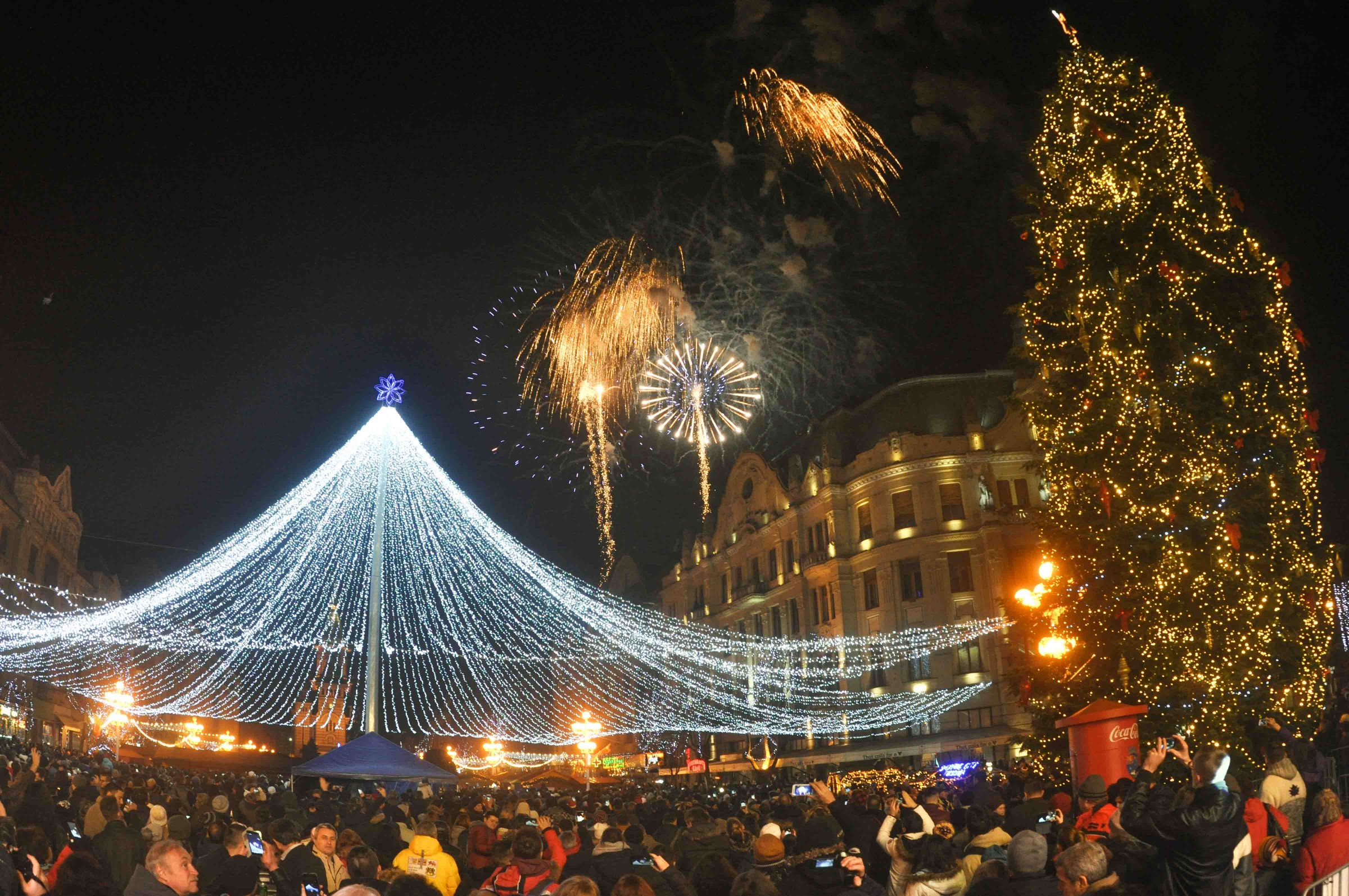 Petiție pentru interzicerea artificiilor de Revelion în Timișoara