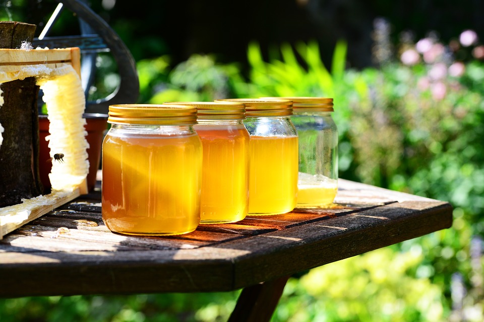 Dificultățile apicultorilor din vestul țării: importurile de miere ieftimă și vremea capricioasă