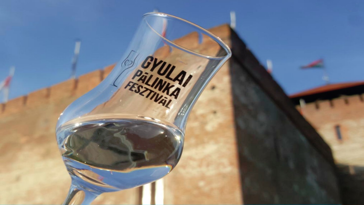Festivalul Internațional al Pălincii / PROGRAM