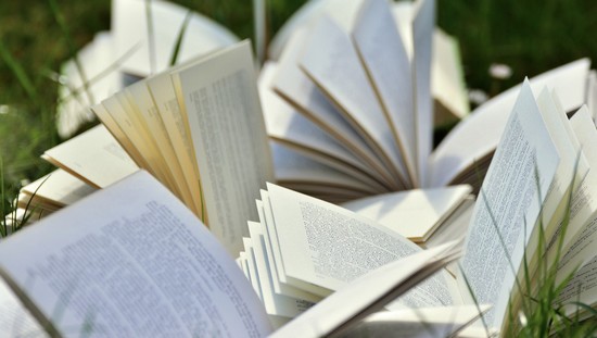Târgul de carte în aer liber „Open Book”, la Arad