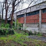Clinica de recuperare, medicină fizică şi balneologie a Spitalului Municipal Timişoara
