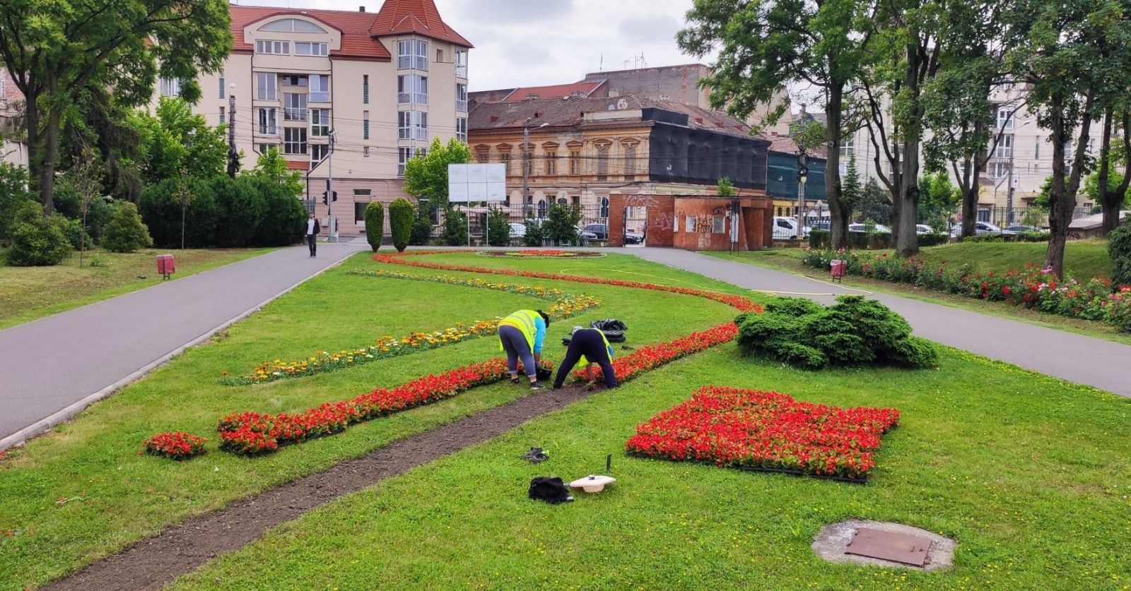 La Timișoara a continuat campania de plantări în parcuri și pe aliniamentele stradale