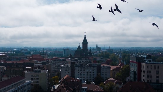 Peste 130 de evenimente deschid programul Timişoara 2023 – Capitală Europeană a Culturii / PROGRAM