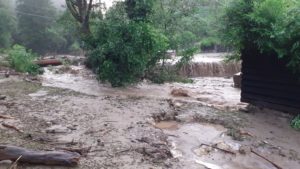 Avertizări de inundaţii pe râuri din vestul țării