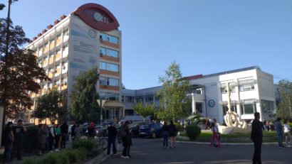 Medicina veterinară, Cadastrul și Silvicultura, cele mai căutate specializări de la USV Timișoara