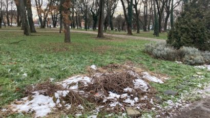 Horticultura va termina proiectul de modernizare în Parcul Civic din Timișoara