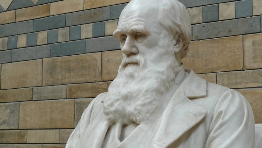 12 februarie: Ziua Darwin