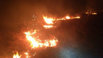 Incendiu pe o suprafață de 100 de hectare de teren în Timiș