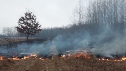 Zeci de pompieri, silvicultori și voluntari s-au luptat cu incendiile de vegetație din Timiș
