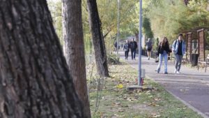 Timișorenii, printre cei mai toleranți români față de imigranți – concluziile Barometrului calității vieții