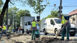Horticultura ia un credit de trei milioane de lei pentru utilaje