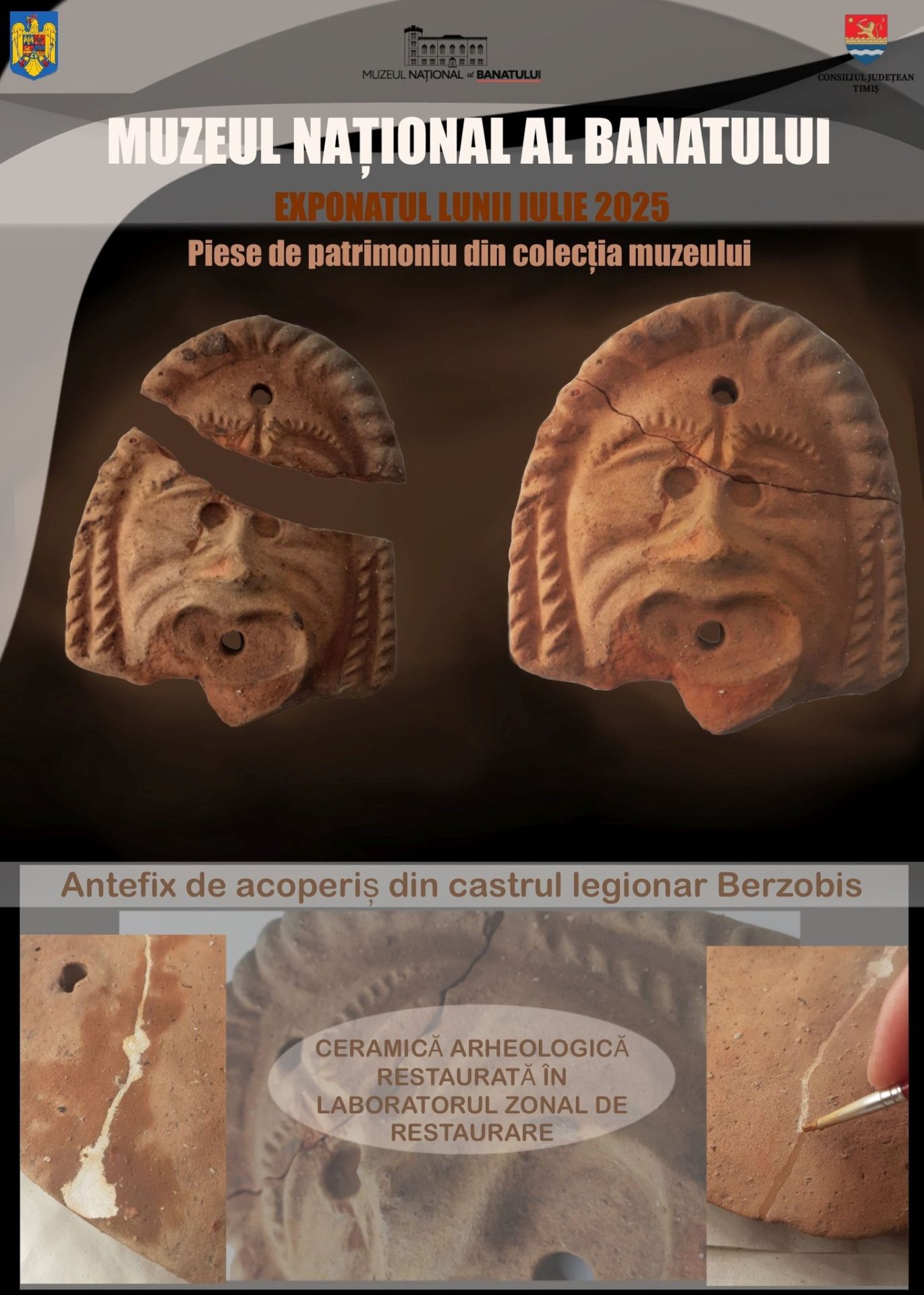 muzeul banatului timisoara