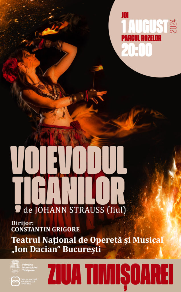 Voievodul țiganilor