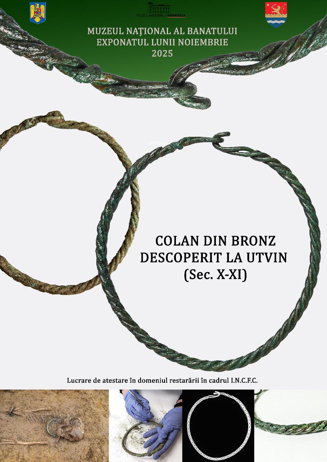 exponat muzeul banatului