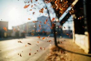 Informare meteo: vânt puternic în sudul Banatului; lapoviță și ninsoare la munte