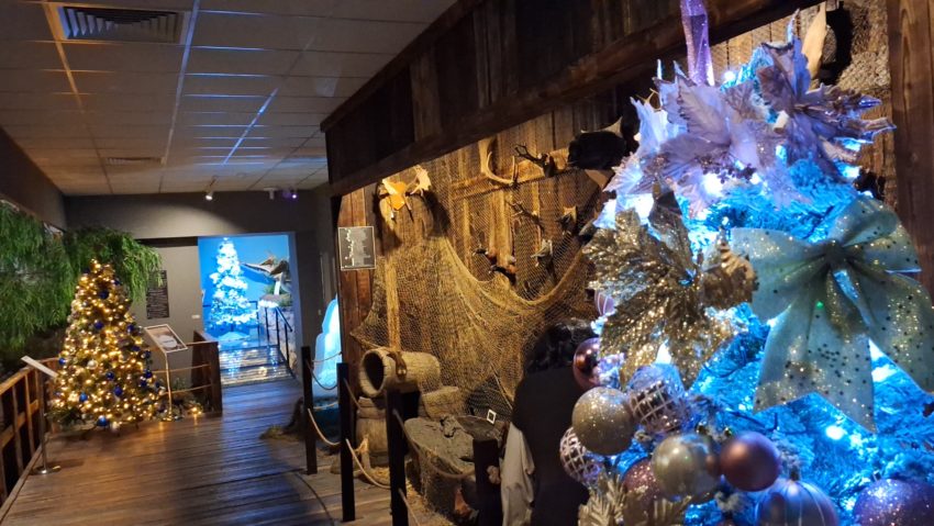 „Brazi de poveste la muzeu”. Expoziție caritabilă pentru copiii din familii defavorizate