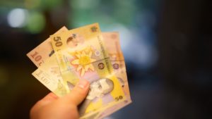 Marea recalculare a pensiilor a fost finalizată în Timiș. Agricultorii primesc banii de luna viitoare