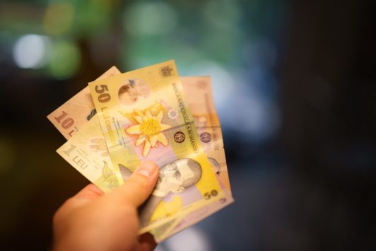 BNR, pregătită să intervină pentru stabilitatea leului. Economist: „Atitudinea înțeleaptă este prudența”
