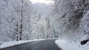 Vremea în Banat și Crișana