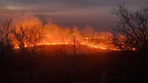 Incendiu puternic în județul Arad: 45 de hectare de grâu au fost distruse de flăcări