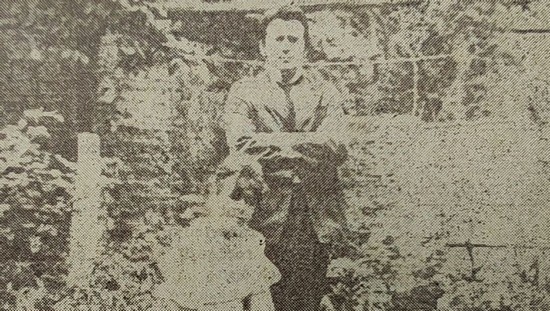 Zumzet/Adiere, expoziție dedicată memoriei pictorului Florin Niculiu