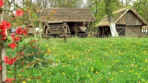 Două muzee din Timișoara, deschise în minivacanță