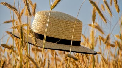 Vine vara în vestul țării: temperaturi de peste 30 de grade