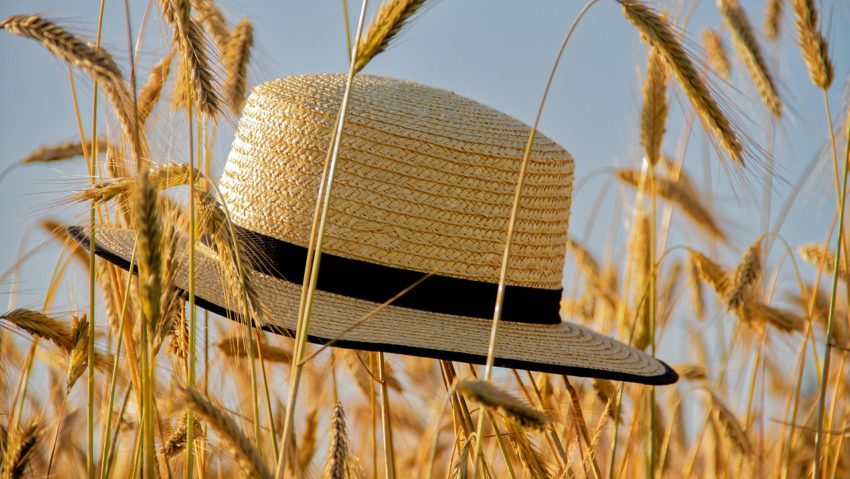 Vine vara în vestul țării: temperaturi de peste 30 de grade Vine vara în vestul țării: temperaturi de peste 30 de grade