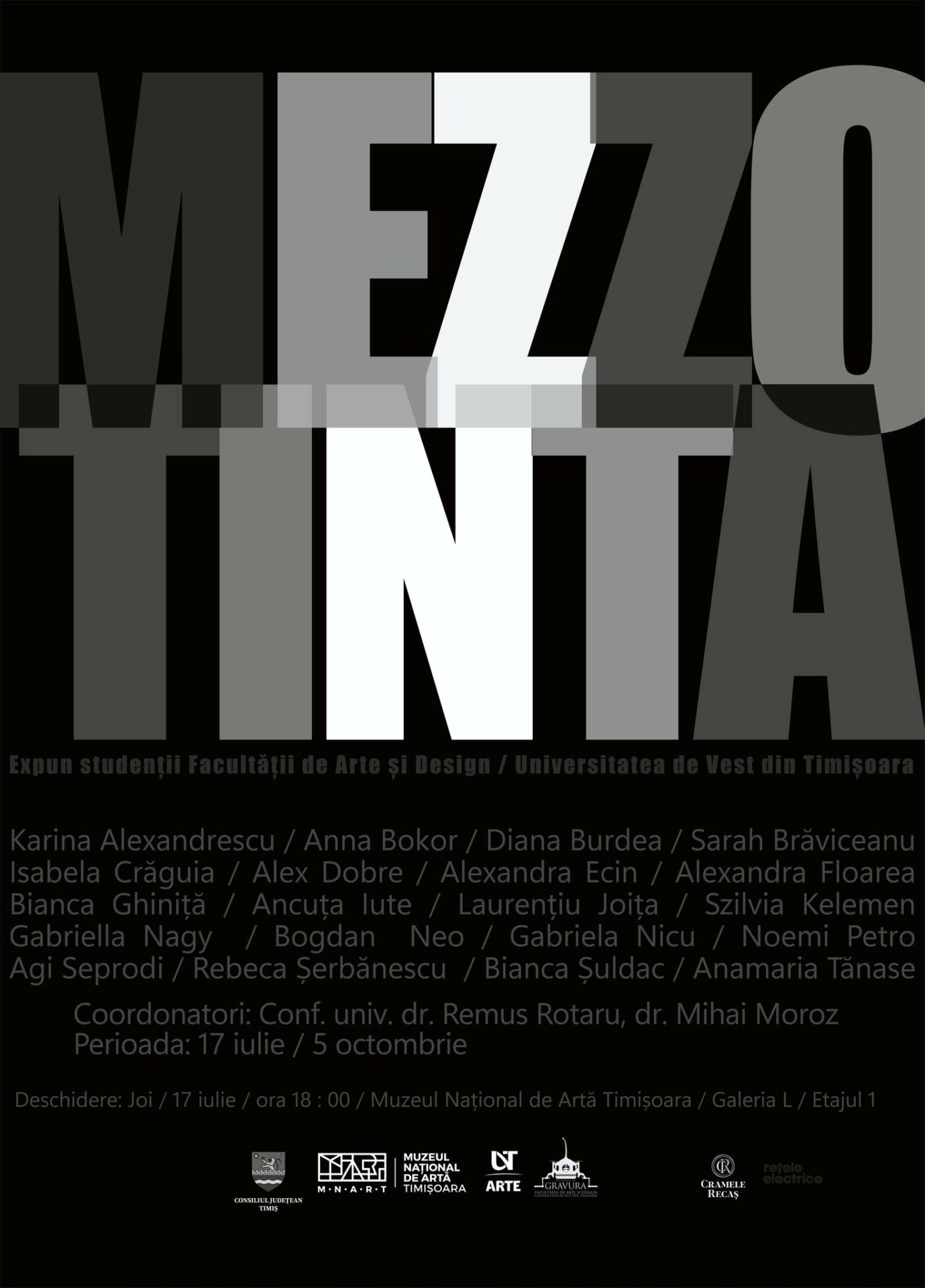 Muzeul National de Arta Timisoara