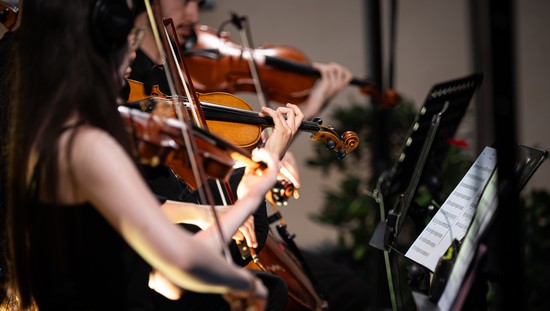 ”Fusion sounds in the city”, concert în aer liber, la Timișoara