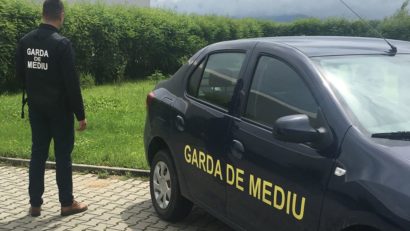 Poluare reclamată pe Calea Lipovei: O fabrică a intrat în atenția Gărzii de Mediu